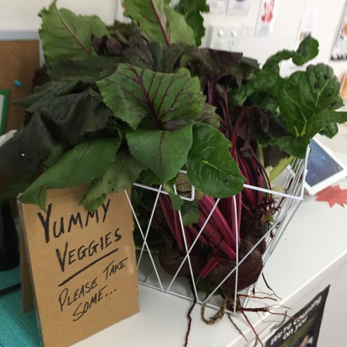 Vegetables in basket with 'Please take some' sign